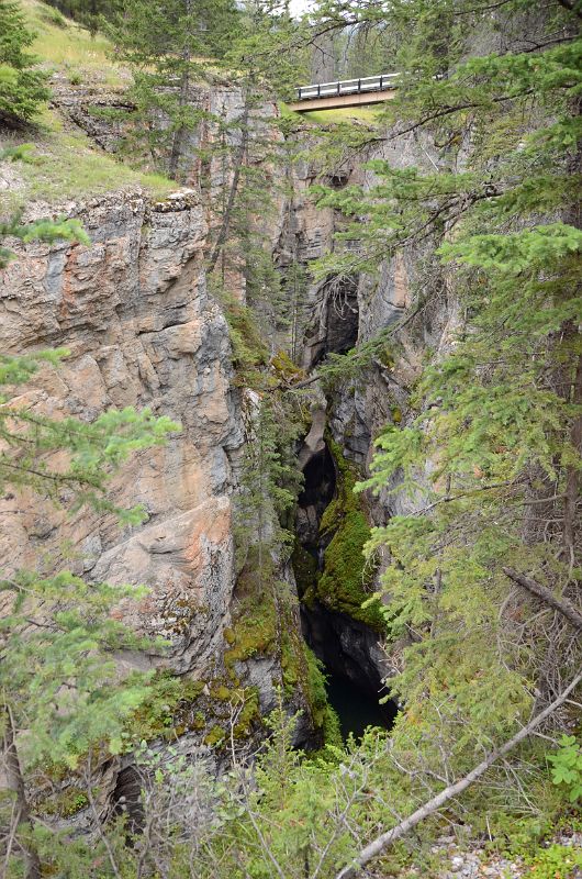 27 Bridge Over Maligne Canyon Near Jasper